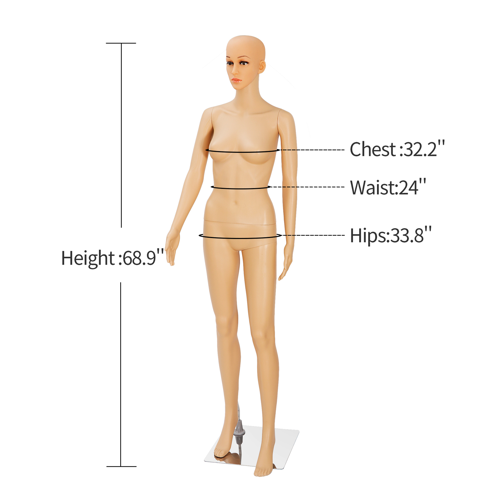 Weibliche Schaufensterpuppe Ga – Dress Form Mannequin Bewertung und Preis